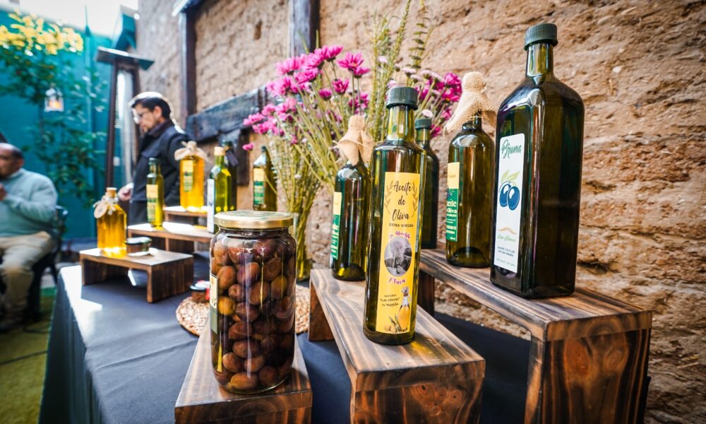 fiesta de la aceituna