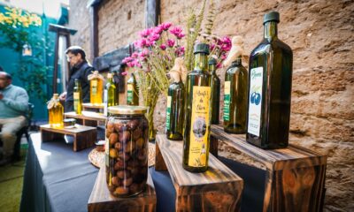 fiesta de la aceituna