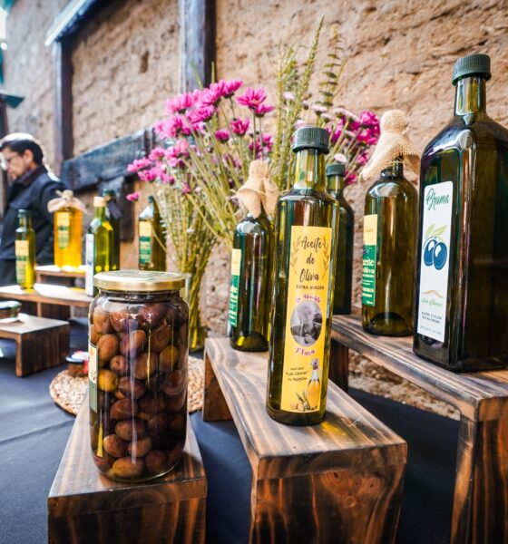 fiesta de la aceituna