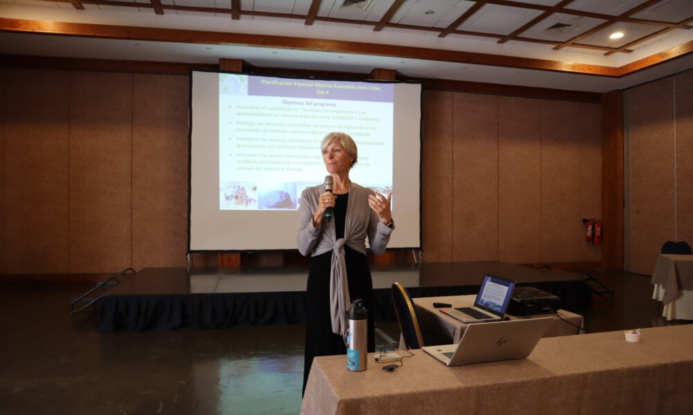 Proyecto Humboldt II